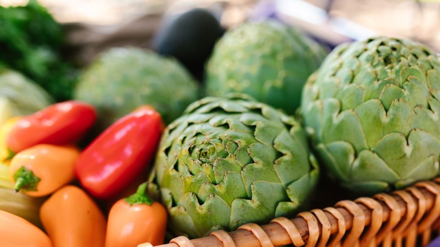 Composición de alimentos y platos asociados a Menú dieta de la alcachofa: semana 1.